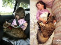 Уже третий (на моей памяти) пост про них, и самый убогий. Хоть бы картины девочки выложили и больше красивых фото с кошкой.











И кошка