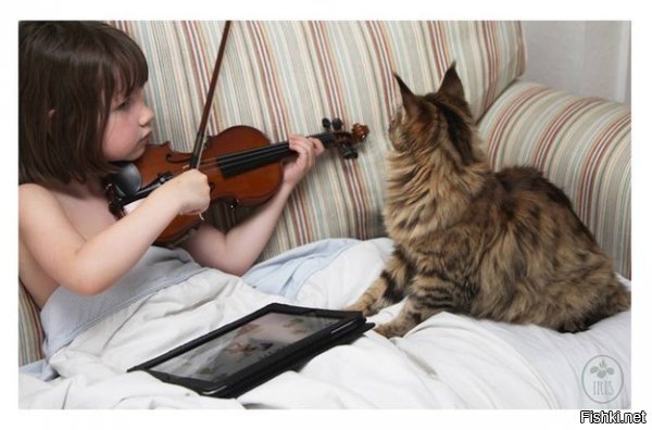 Уже третий (на моей памяти) пост про них, и самый убогий. Хоть бы картины девочки выложили и больше красивых фото с кошкой.











И кошка