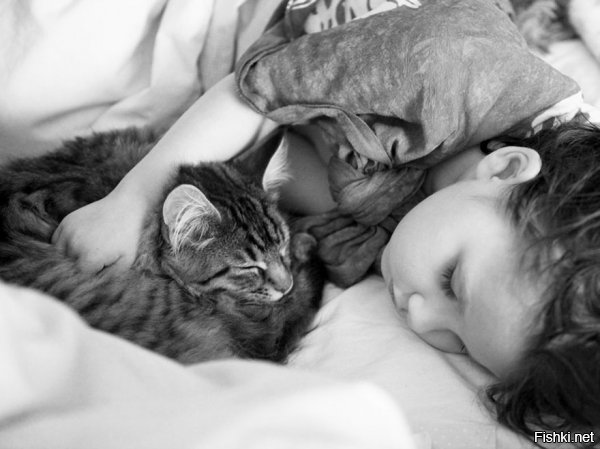 Уже третий (на моей памяти) пост про них, и самый убогий. Хоть бы картины девочки выложили и больше красивых фото с кошкой.











И кошка