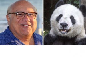 21 знаменитость и их точные копии в мире животных