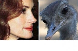 21 знаменитость и их точные копии в мире животных