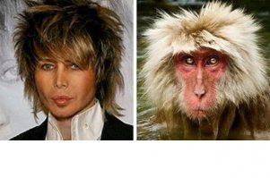 21 знаменитость и их точные копии в мире животных