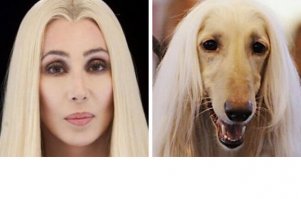 21 знаменитость и их точные копии в мире животных