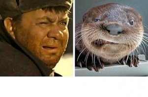 21 знаменитость и их точные копии в мире животных