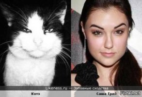 21 знаменитость и их точные копии в мире животных