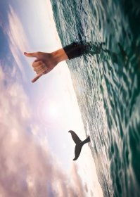 Удачный кадры