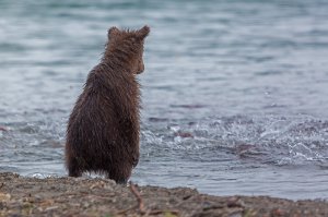 да чё славные, пупсы ))