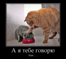 Отвращения пост: 12 известных мам, которые съели свою плаценту