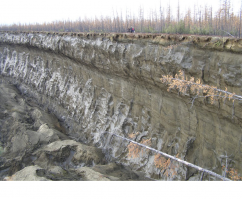 В Восточной Сибири учёные исследуют необычный кратер