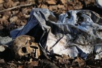 Хорошие зубы были у этого человека. Наверное, он умер нестарым...