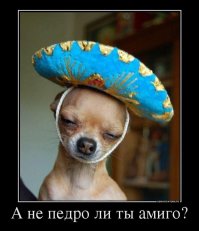 Реклама для идиотов
Вот сейчас Лужков купит у них эти хули/ульи и разбогатеет за сезон на парочку Миллиончиков