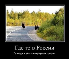 Самые трогательные мамы-медведицы и их медвежата