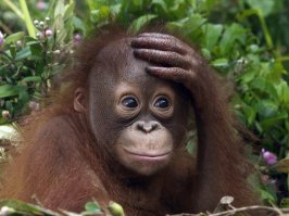 Отвращения пост: 12 известных мам, которые съели свою плаценту