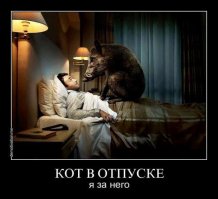 Он помог пожилой женщине поменять колесо. И только вечером понял, что произошло на самом деле