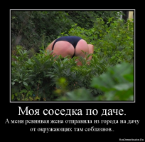 А ты не педик часом?