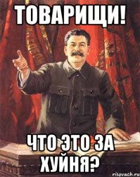 Непобедимая женская логика 