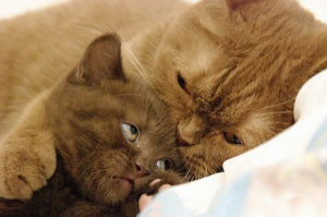 Не будешь шалить и про тебя кино снимут!)))