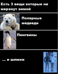 Красиво жить не запретишь