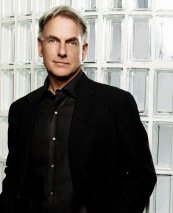 А где этот товарищ? Зовут его Марк Хармон. За роль спец агента Гиббса в сериале "Морская полиция. Спецотдел", по данным на 2014 - й год, заработал $19 млн. Сейчас уже 2016 - й, а сериал все еще идет.