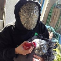 15 удивительных оптических иллюзий 