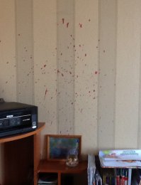 Знакомо! только в моём варианте нужно добавить шторы, монитор, котяру(светлого окраса), бинокль и фотоаппарат всё офуячил...