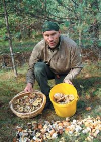 Не успел в лес зайти,как сразу кто-то грибов набросал
и вёдра оставил