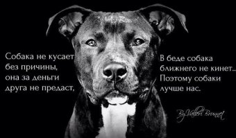 Как не вспомнить