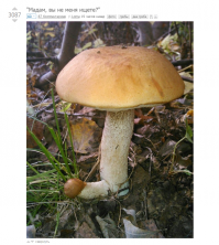 Сомневаюсь в авторстве, даже очень (((