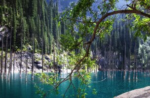 Фото любителей путешествий из соцсетей