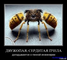 Невероятные животные-гибриды, о которых вы никогда не слышали