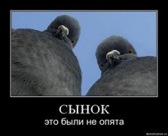 Как я сегодня остановился в лесу