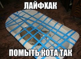 аффтор никогда сам не купал кота! Когда я пытался вымыть своего дэбила в годовалом возрасте (в этот период все котэ находятся на пике ипанутасти) я сажал его в унитаз, поливал шампунем, закрывал крышку и ставил сверху 16 кг гирю. Так вот после первого спуска воды он выносил накер и крышку и гирю! А тут изолента =) Смешно!!!
ПыСы. Сейчас повзрослевший и поумневший котейка блаженствует в ванной и разве что не просит спинку потереть =)