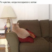 Бывшие