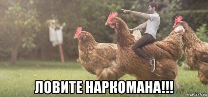 Красава!Пиши исчо!