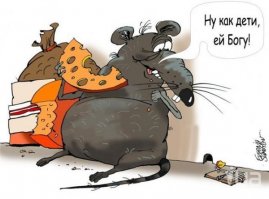 Гениальная мышеловка из пластиковой бутылки