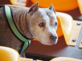 Фотоподборка за 29.09.2016