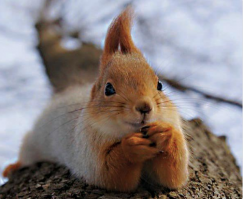 Всем жителям России дарят премиум-подписку на PornHub для обхода блокировки!