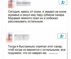 Смешные картинки из соц.сетей