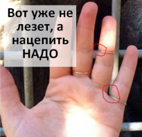 Фотоподборка за 29.09.2016