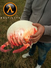 Они просто отправились за грибами, и вот что произошло