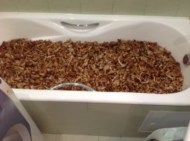 Моя добыча в выходные