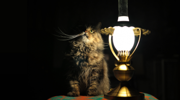  Что удивило американца в России 