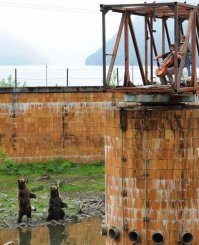 классная фотка