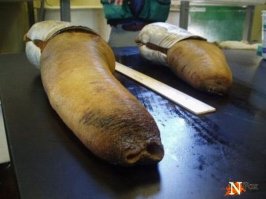 14 фото, которые проверят вас на испорченность