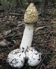 14 фото, которые проверят вас на испорченность