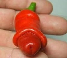 14 фото, которые проверят вас на испорченность