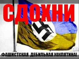 Как относятся к немецким ветеранам Второй мировой войны в Германии?