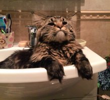 Интересно, какая это эмоция?