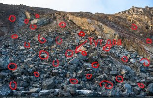 Да они там повсюду!...