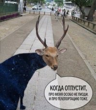 Нескучная жизнь